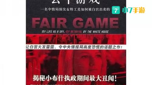 公平游戏