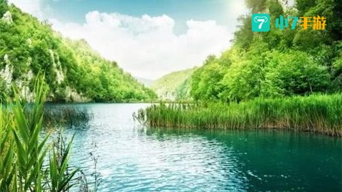 山清水秀打一生肖