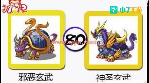 邪恶玄武怎么抓