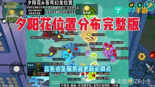 创造与魔法夕阳花位置
