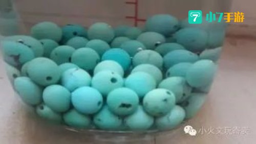 水为什么不能掉在盘上